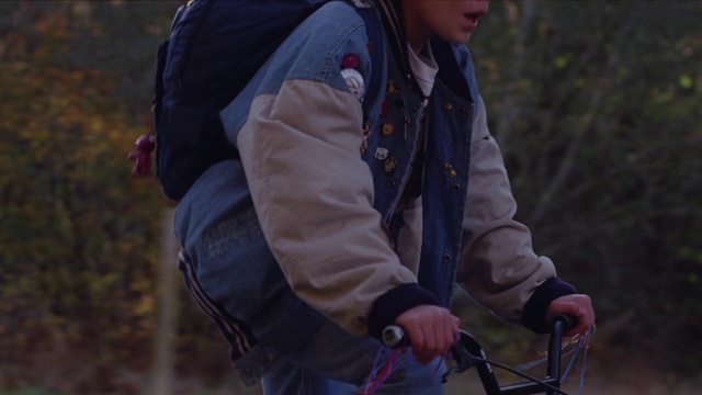 Video Reference: Glasses, Outerwear, Glove, People in nature, Bicycles--Equipment and supplies, Plant, Outdoor recreation, Jacket, Sunglasses, Grass