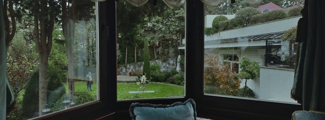 Video Reference: Plant, Property, Window, Botany, Building, Green, Shade, Fixture, Architecture, Interior design