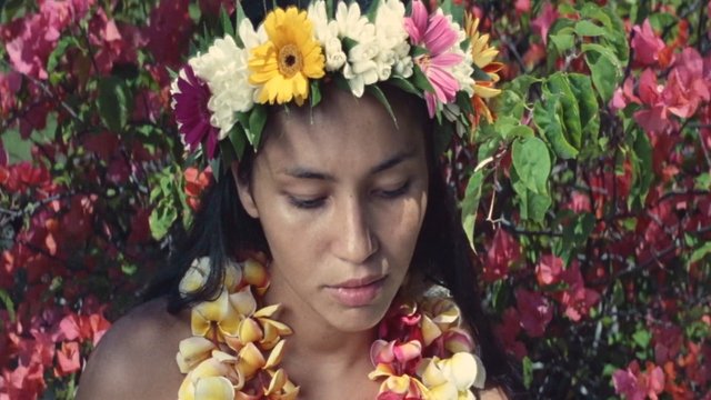 Video Reference: woman, flower crown, lei, close-up, portrait, floral background, tropical, colorful, gaze down, headpiece, flowers, decorative, nature-inspired, festival
