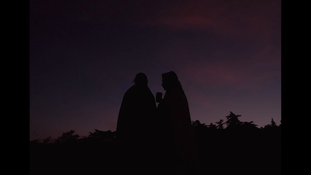 Video Reference: silhouette, people, outdoors, dusk, twilight, sky, sunset, purple sky, couple, standing, tree line, backlit, evening, drink