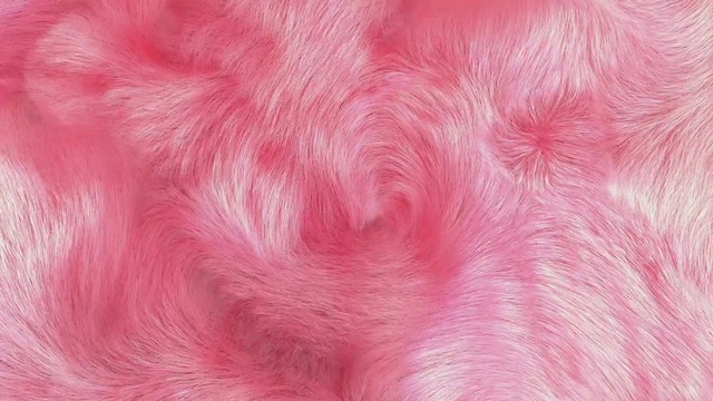 Video Reference: Plant, Pink, Eyelash, Magenta, Natural material, Petal, Pattern, Peach, Art, Fur