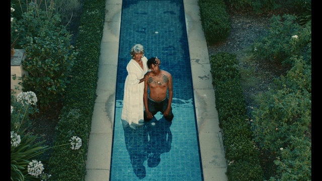 Video Reference: People in nature, Sunglasses, Gesture, Grass, Barechested, Leisure, Shorts, Happy, Fun, Recreation