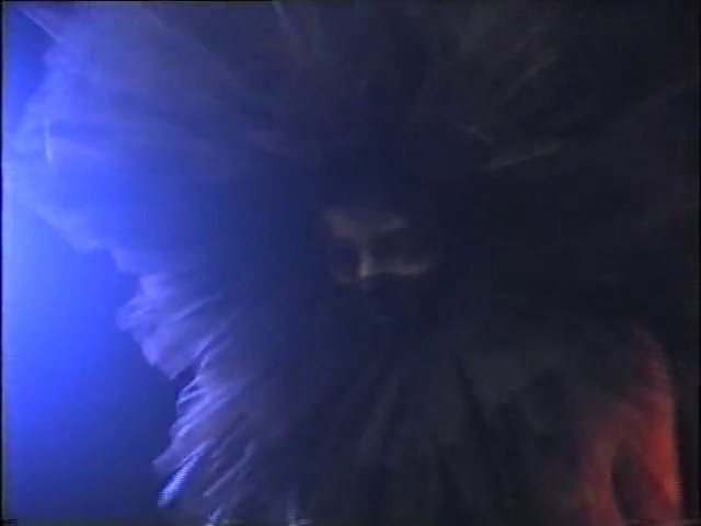 Video Reference: Purple, Petal, Violet, Electric blue, Magenta, Plant, Sky, Darkness, Lens flare, Cnidaria