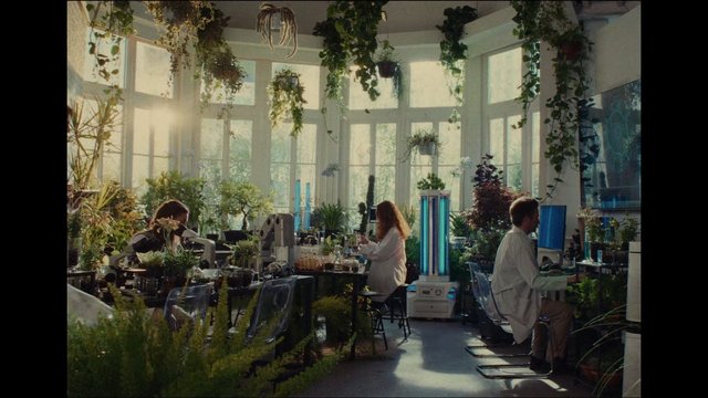 Video Reference: laboratory, greenhouse, plants, indoor, scientists, lab coats, microscope, workstations, sunlight, windows, glassware, research, botany, hanging plants, modern interior