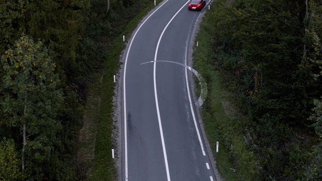 Video Reference: Plant, Road surface, Asphalt, Tree, Tar, Car, Slope, Grass, Vehicle, Road