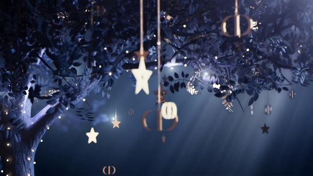 Video Reference: Water, Atmosphere, Plant, Sky, Twig, Astronomical object, Electric blue, Font, Art, Space