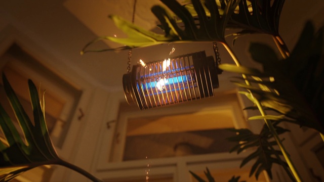 Video Reference: Automotive lighting, Plant, Window, House, Wood, Tints and shades, Building, Ceiling, Ceiling fixture, Metal