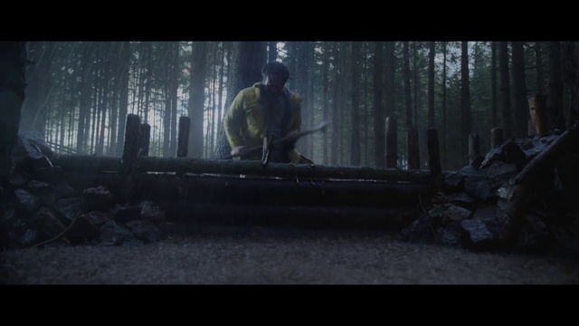 Video Reference: Plant, Wood, Tree, Tints and shades, Forest, Midnight, Darkness, Woodland, Trunk, Action-adventure game