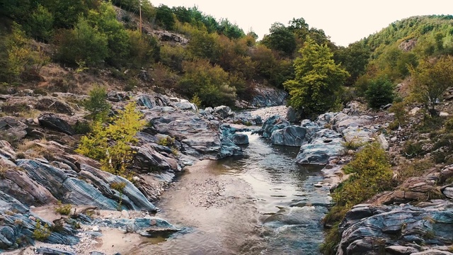Video Reference: Water, Plant, Sky, Natural landscape, Fluvial landforms of streams, Bedrock, Tree, Vegetation, Watercourse, Biome