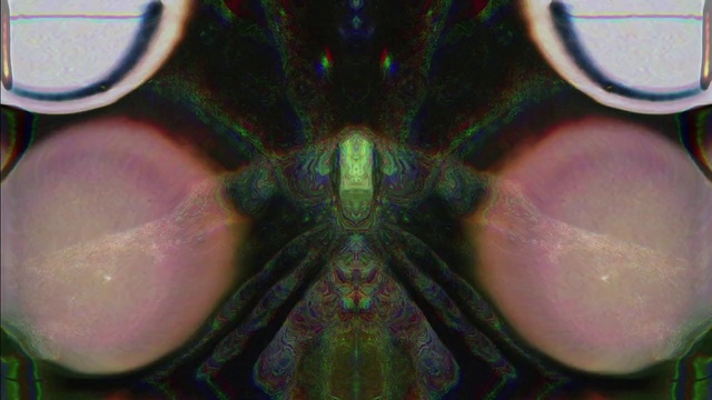 Video Reference: Organism, Art, Symmetry, Pattern, Circle, Fractal art, Close-up, Graphics, Glass, Electric blue