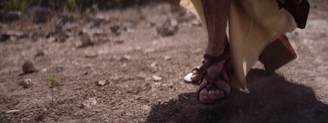Video Reference: Shoe, Leg, People in nature, Human body, Plant, Wood, Finger, Grass, Thigh, Flooring