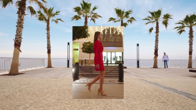 Video Reference: Sky, Cloud, Tree, Plant, People on beach, Arecales, Wood, Travel, Leisure, Woody plant