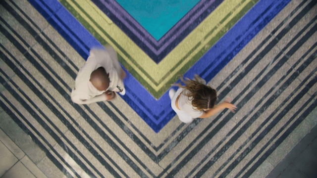 Video Reference: Vertebrate, Wood, Mammal, Flooring, Floor, Fawn, Ceiling, Electric blue, Leisure, Hardwood