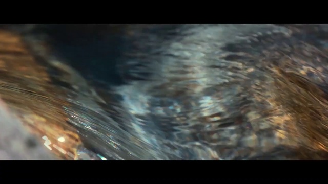 Video Reference: Atmosphere, Water, Liquid, Wood, Astronomical object, Natural landscape, Rectangle, Electric blue, Grass, Landscape