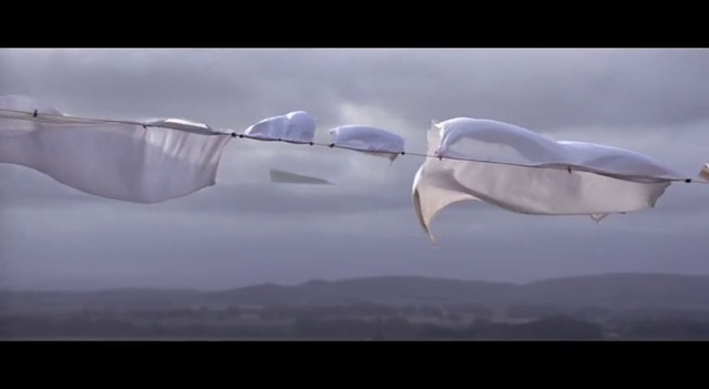 Video Reference: Cloud, Sky, Atmosphere, Human body, Atmospheric phenomenon, Natural landscape, Tree, Wind, Wing, Landscape