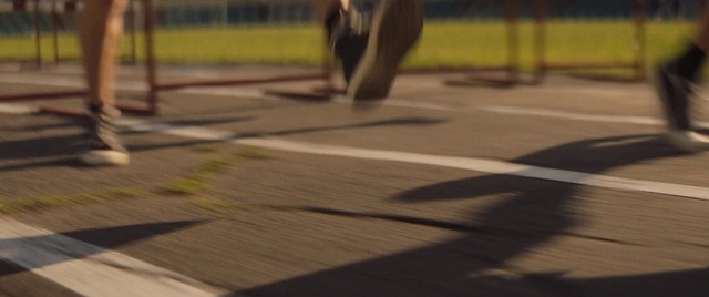 Video Reference: Plant, Road surface, Wood, Asphalt, Flooring, Floor, Sidewalk, Grass, Tints and shades, Hardwood