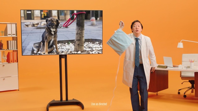 Video Reference: Dog, Art, Tie, Audio equipment, Display device, Event, Room, Spokesperson, Advertising, Companion dog