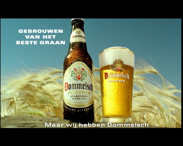 Video Reference: Bottle, Liquid, Beer, Glass bottle, Fluid, Ingredient, Alcoholic beverage, Beer bottle, Drink, Alcohol