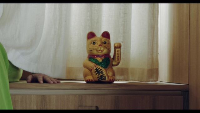 Video Reference: Window, Felidae, Toy, Small to medium-sized cats, Textile, Wood, Whiskers, Cat, Fawn, Carnivore