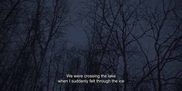 Video Reference: Natural landscape, Twig, Plant, Sky, Wood, Tree, Font, Trunk, Terrestrial plant, Electric blue