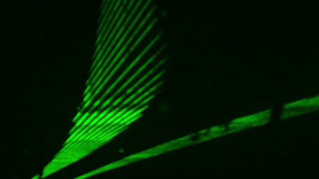 Video Reference: Rectangle, Terrestrial plant, Font, Tints and shades, Electric blue, Graphics, Macro photography, Pattern, Parallel, Darkness