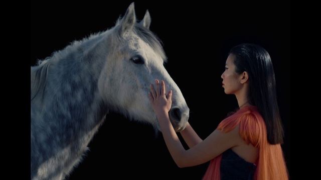 Video Reference: Horse, Flash photography, Dress, Working animal, Eyelash, Horse supplies, Happy, Bridle, Event, Electric blue