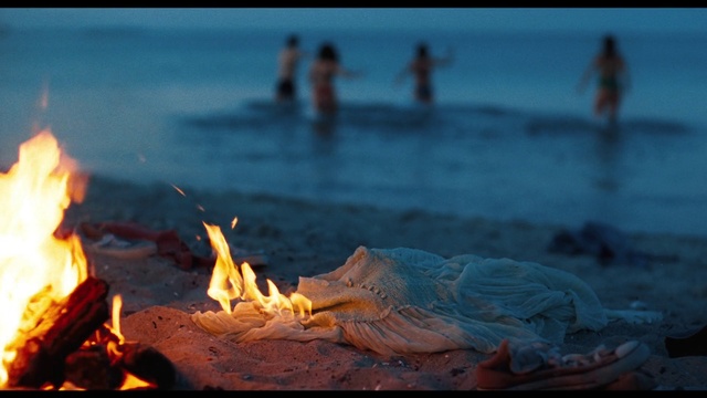 Video Reference: Water, Photograph, Light, Wood, Beach, Fire, Bonfire, Gas, Landscape, Heat