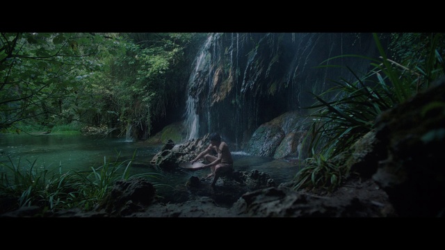 Video Reference: Water, Plant, Ecoregion, Natural landscape, Terrestrial plant, Waterfall, Grass, Tree, Landscape, Chute