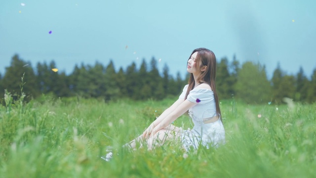 Video Reference: Plant, Sky, Flash photography, People in nature, Happy, Gesture, Natural landscape, Flower, Sunlight, Grass