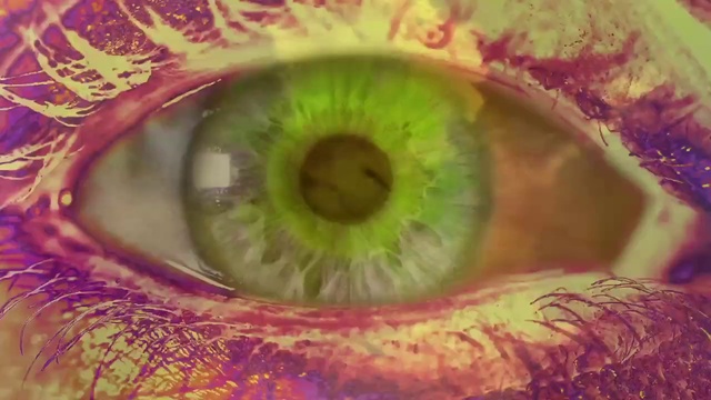 Video Reference: Eye, Eyelash, Human body, Organism, Terrestrial plant, Red, Nerve, Symmetry, Close-up, Circle