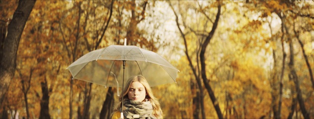 Video Reference: Umbrella, People in nature, Plant, Tree, Wood, Mammal, Natural landscape, Happy, Shade, Grass