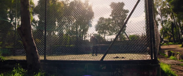 Video Reference: Plant, Atmosphere, Water, Sky, Shade, Mesh, Fence, Tree, Wire fencing, Grass