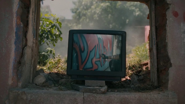 Video Reference: Plant, Window, Natural environment, Wood, Motor vehicle, Television set, Tree, Grass, Rectangle, Art