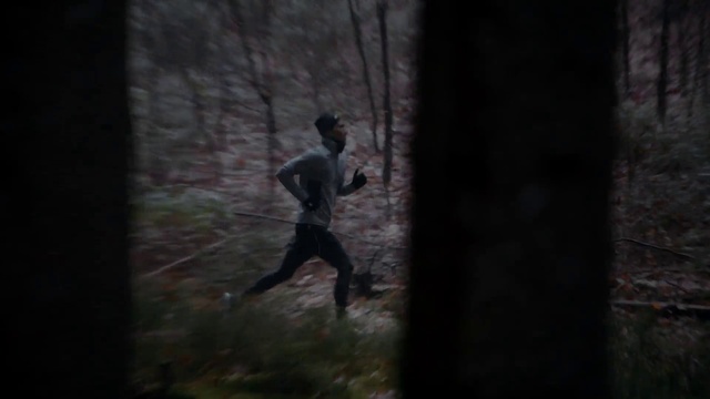 Video Reference: Shorts, Flash photography, People in nature, Plant, Wood, Terrestrial plant, Trunk, Tree, Forest, Recreation