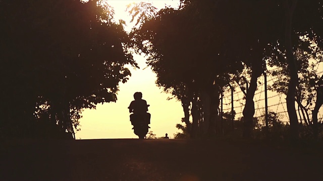 Video Reference: World, People in nature, Sky, Tree, Branch, Plant, Gesture, Sunlight, Dusk, Natural landscape