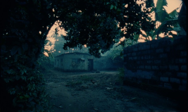 Video Reference: Atmosphere, Plant, Natural landscape, Branch, Sunlight, Atmospheric phenomenon, Wood, Tree, House, Building