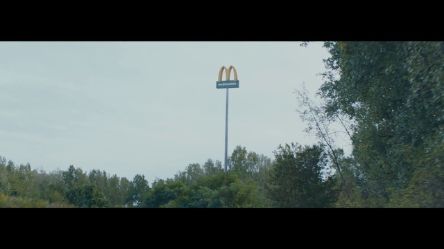 Video Reference: Sky, Natural landscape, Tree, Grass, Terrestrial plant, Pole, Forest, Landscape, Font, Rectangle