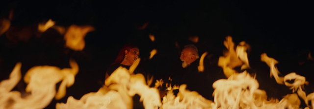 Video Reference: Plant, Petal, Happy, Toy, Flame, Heat, Event, Flash photography, Crowd, Darkness