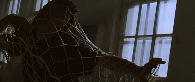 Video Reference: Window, Wood, Mesh, Twig, Tints and shades, Shade, Pattern, Net, House, Art