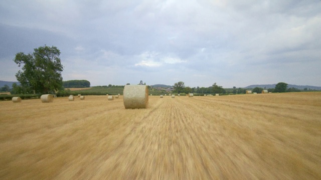 Video Reference: Cloud, Sky, Plant, Tree, Wood, Natural landscape, Agriculture, Grass, Grassland, Landscape