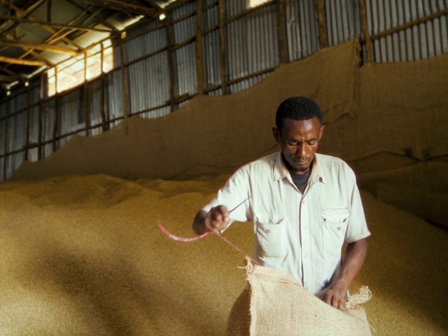 Video Reference: Basket, Elbow, Wood, Leisure, Landscape, Soil, Net, Sitting, Recreation, T-shirt