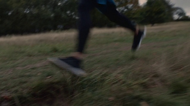 Video Reference: Plant, People in nature, Tree, Knee, Grass, Grassland, Wing, Human leg, Recreation, Thigh