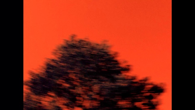 Video Reference: Sky, Natural landscape, Afterglow, Orange, Rectangle, Red sky at morning, Pink, Larch, Dusk, Sunset