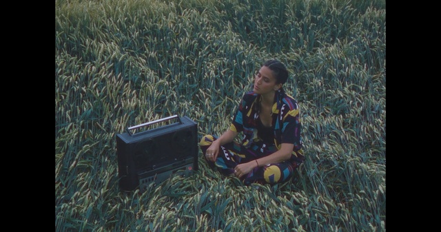 Video Reference: Plant, People in nature, Flash photography, Wood, Grass, Grassland, Agriculture, Tints and shades, Landscape, Meadow