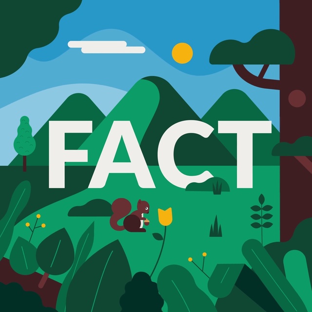 Video Reference: Vertebrate, Ecoregion, Product, Nature, Green, Natural environment, Leaf, Botany, Plant, Organism