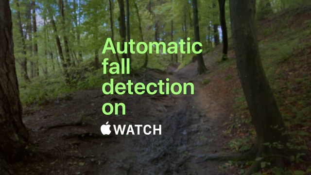 Video Reference: Plant, Plant community, Tree, Natural landscape, Terrestrial plant, Wood, People in nature, Trunk, Biome, Grass