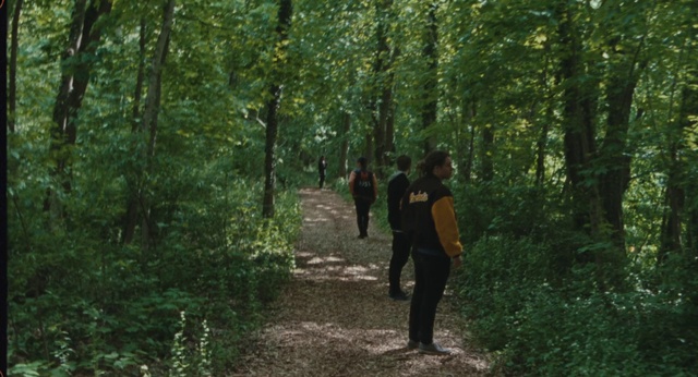 Video Reference: Plant, People in nature, Tree, Wood, Natural landscape, Terrestrial plant, Luggage and bags, Backpack, Trunk, Landscape