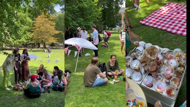 Video Reference: Plant, Green, Botany, Tree, Grass, Umbrella, Outdoor recreation, Leisure, Social group, Shade