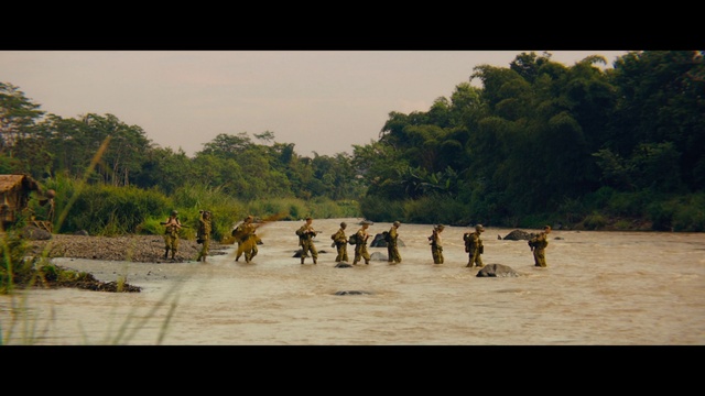 Video Reference: Plant, Sky, Tree, Working animal, Travel, Adaptation, Plain, Landscape, Leisure, Marines