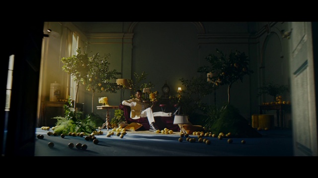 Video Reference: Plant, World, Flowerpot, Window, Twig, Tints and shades, Flower Arranging, Art, Event, Christmas decoration